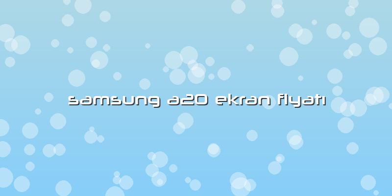 Samsung A20 Ekran Fiyatı