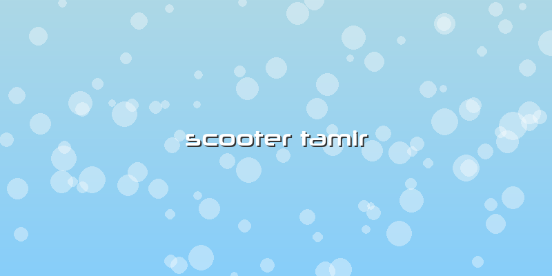 Scooter Tamir