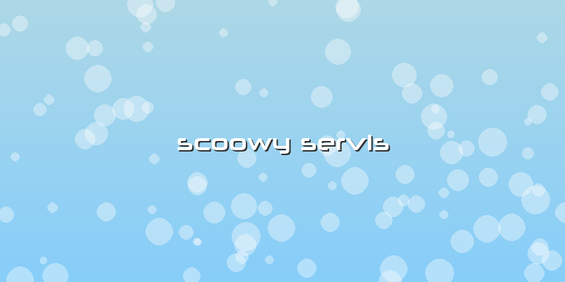 Scoowy Servis