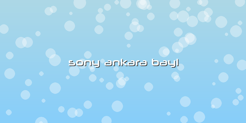 Sony Ankara Bayi