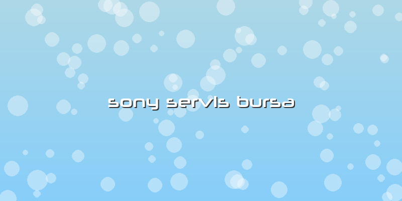 Sony Servis Bursa