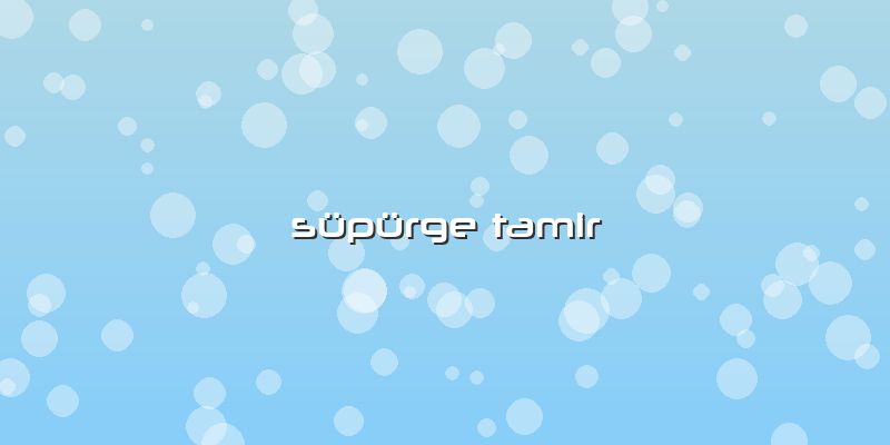Süpürge Tamir
