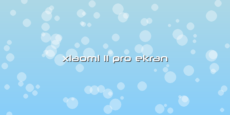 Xiaomi 11 Pro Ekran