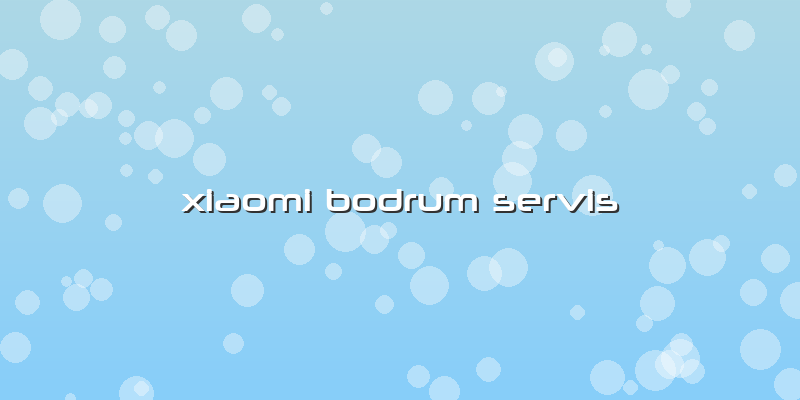 Xiaomi Bodrum Servis