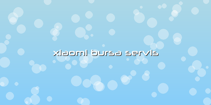 Xiaomi Bursa Servis