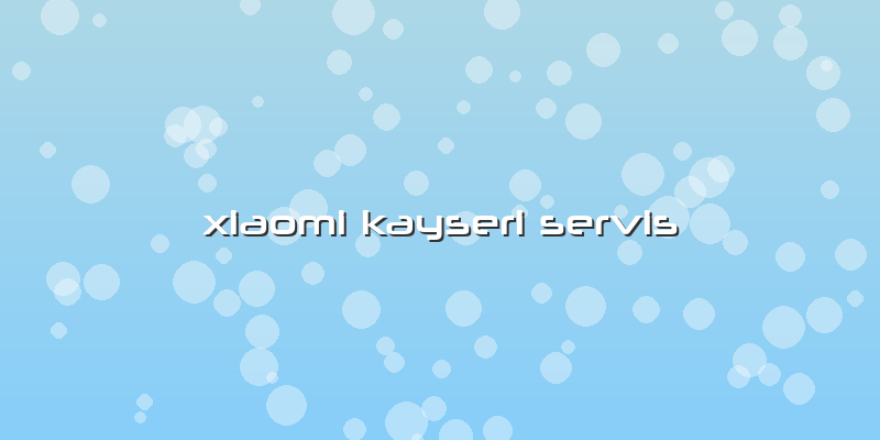 Xiaomi Kayseri Servis