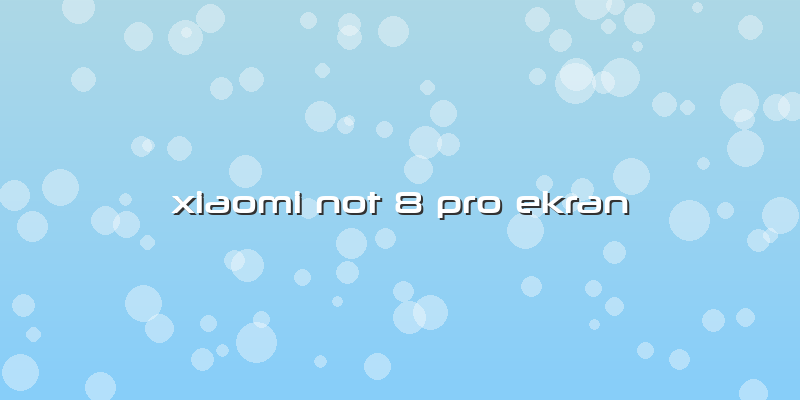 Xiaomi Not 8 Pro Ekran