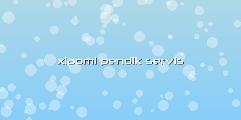 Xiaomi Pendik Servis
