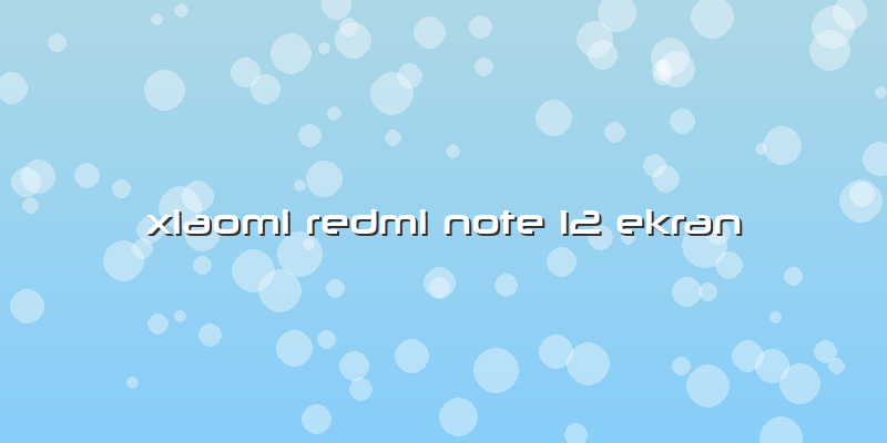 Xiaomi Redmi Note 12 Ekran