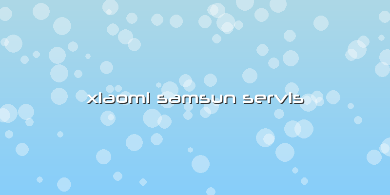 Xiaomi Samsun Servis