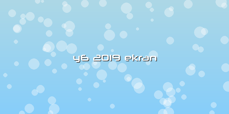 Y6 2019 Ekran