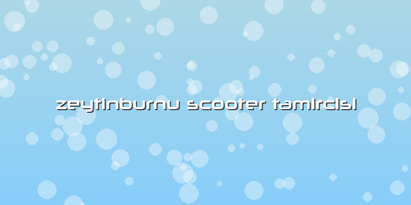 Zeytinburnu Scooter Tamircisi