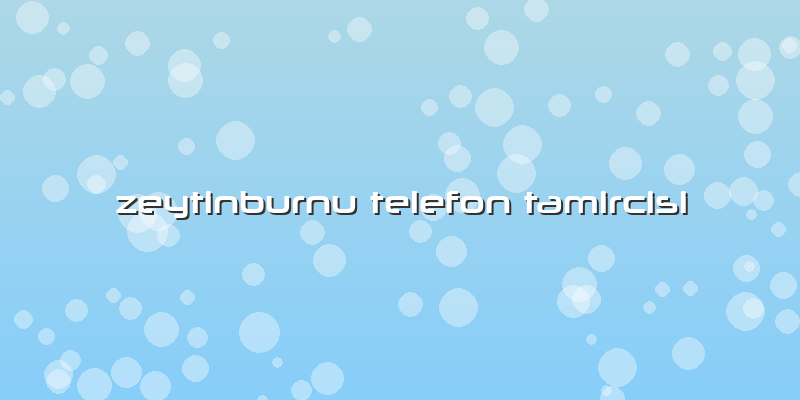 Zeytinburnu Telefon Tamircisi
